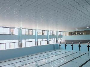 游海龍游泳俱樂部